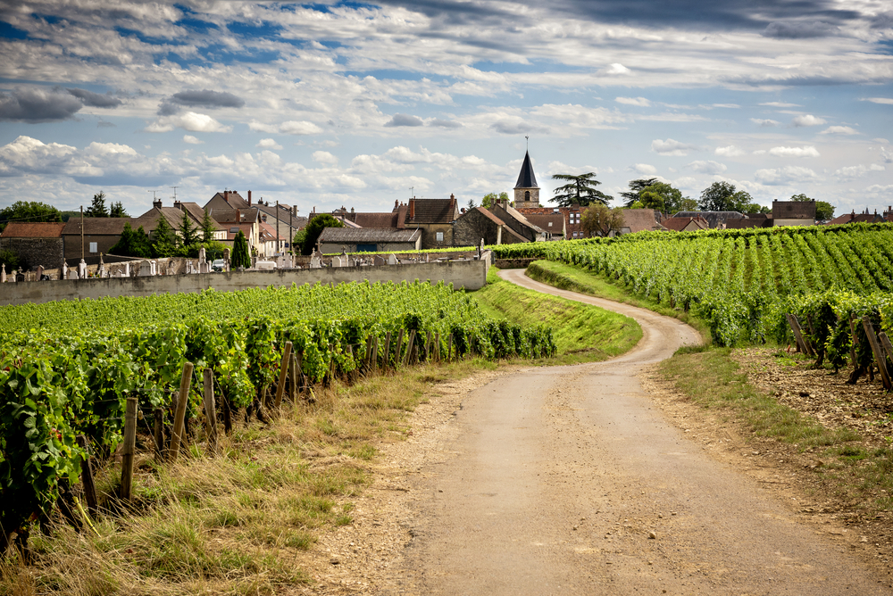 Route des vins de Bourgogne : un séjour oenologique à ne pas manquer