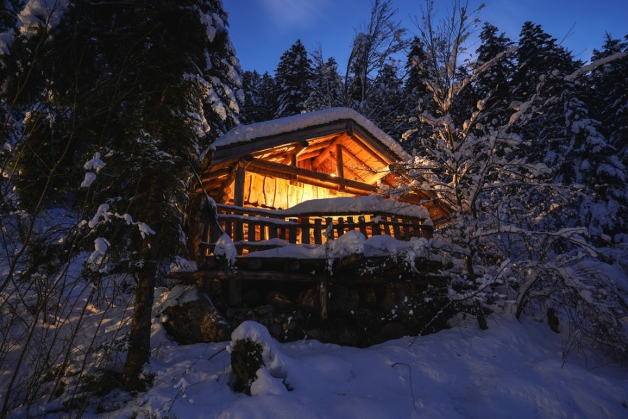 Découvrez les meilleures cabanes dans les arbres des Vosges