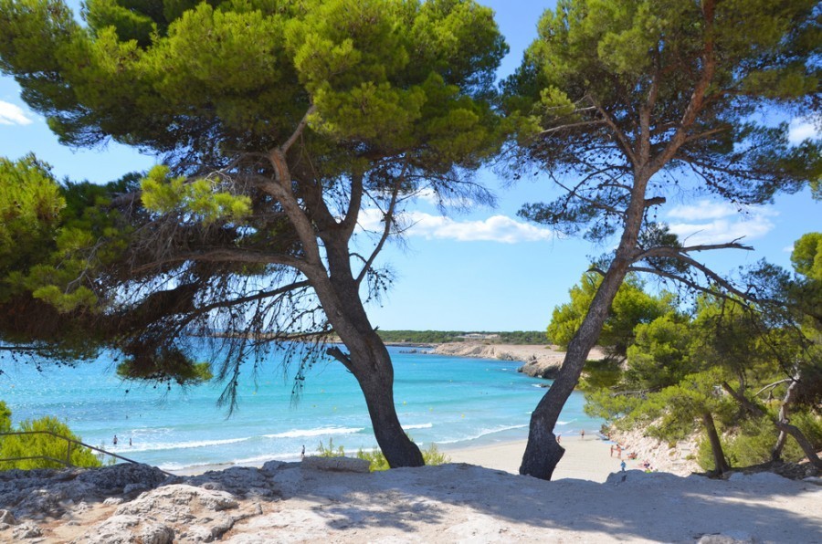 Comment aller au calanque de La Ciotat ?