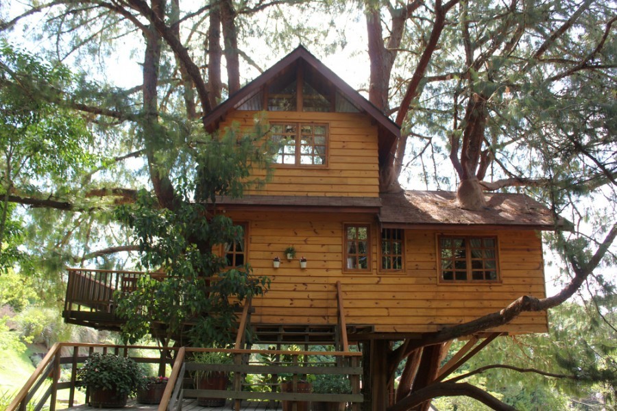 Comment réserver une cabane dans les arbres dans le Jura ?