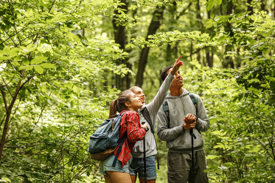 Comment visiter la forêt de l Huelgoat ? Comment visiter la forêt de l Huelgoat ?