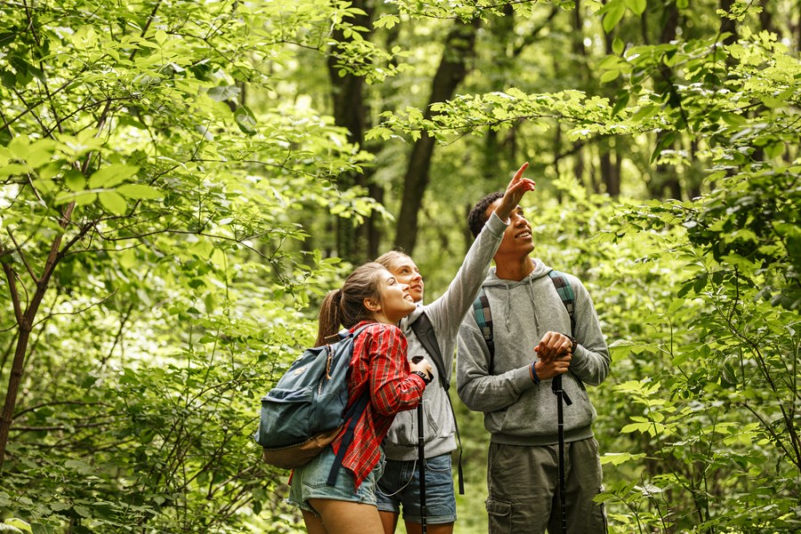 Comment visiter la forêt de l Huelgoat ?