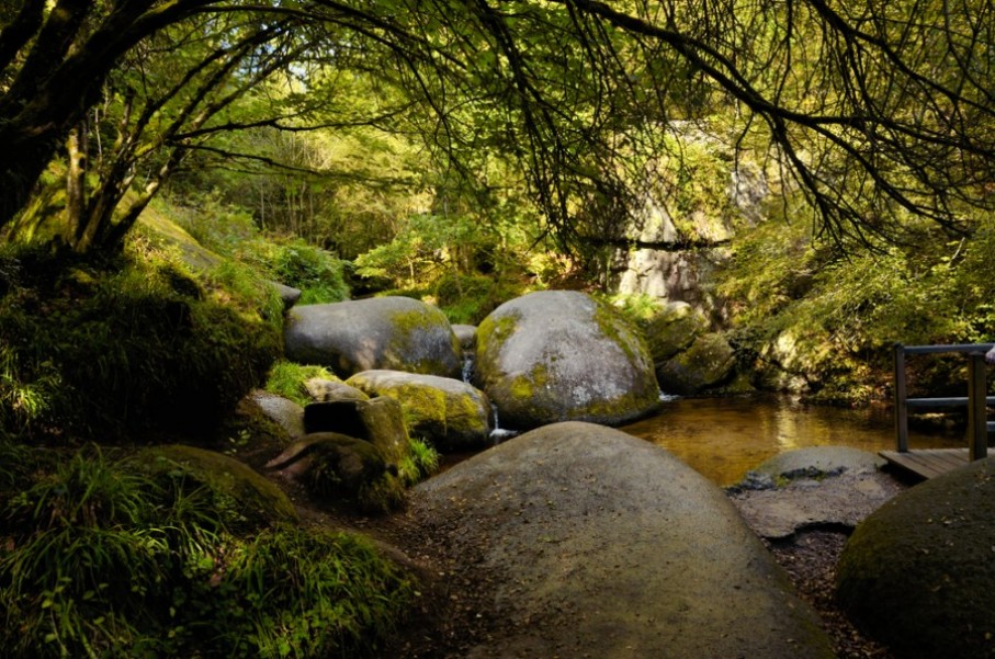 Découverte de la Forêt de Huelgoat : petit coin magique à explorer