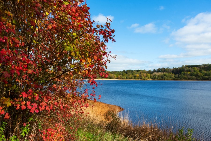 Découvrez le lac de Chamboux : un joyau écologique du Morvan