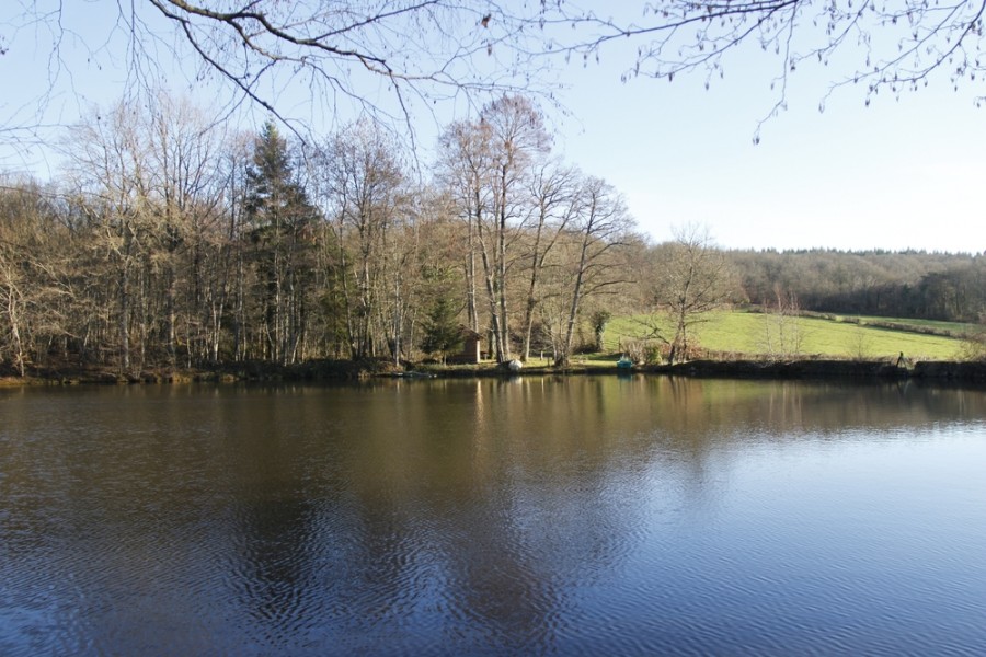 Découverte du Lac de Laives : un lieu de séjour unique en Bourgogne