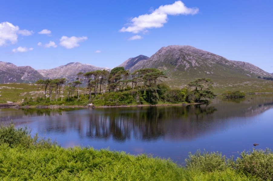 Découverte du lac du Connemara : un lieu à visiter absolument