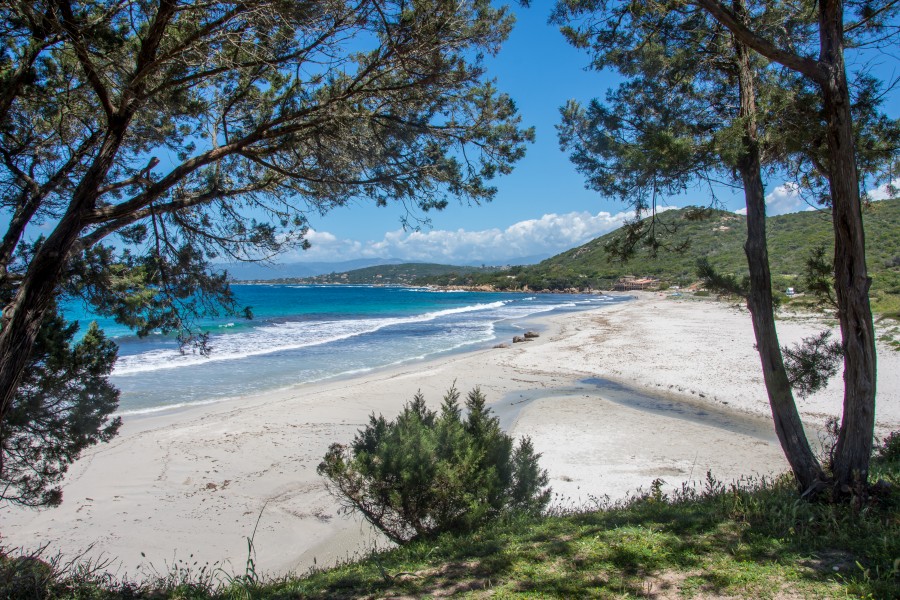 Découvrez la sublime plage de Porticcio : un joyau de la Corse