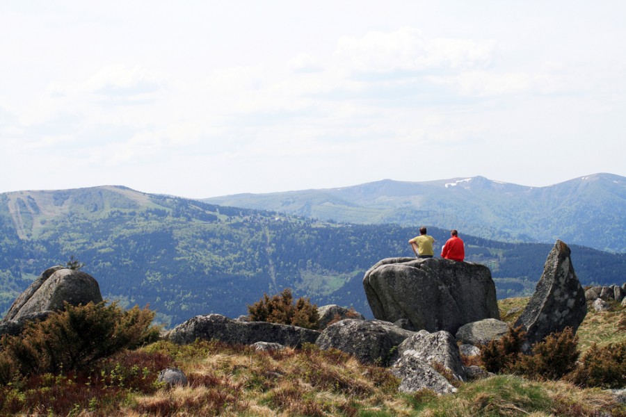 Quelles sont les cabanes dans les arbres les plus populaires dans les Vosges ?