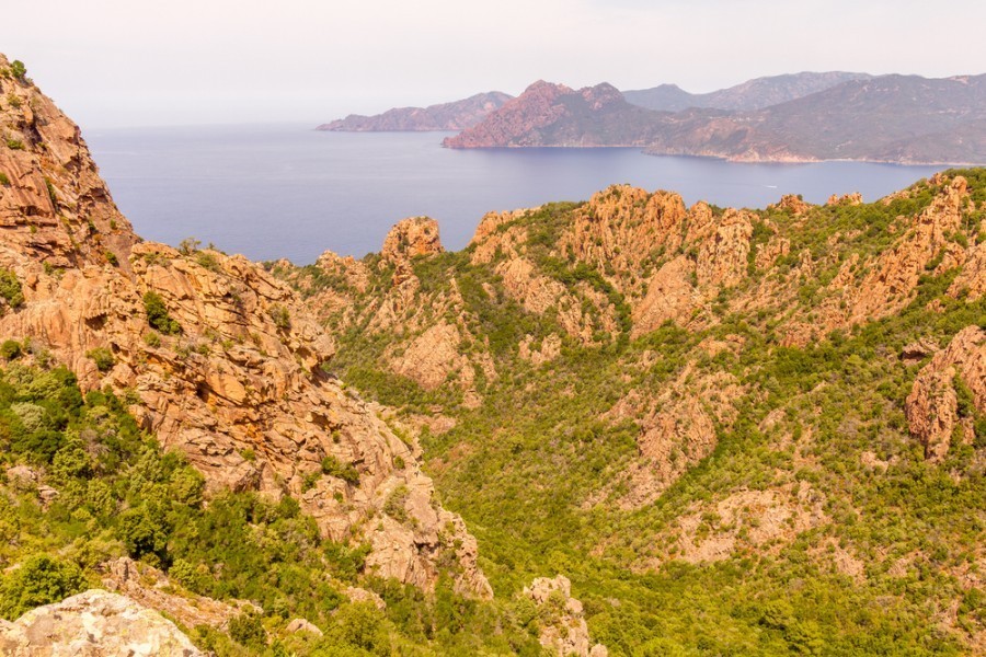 Quels sont les sentiers de randonnée les plus populaires dans le golfe de Porto en Corse ?