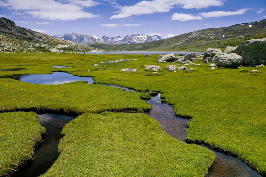 Qu’est-ce que les pozzines de corse ?