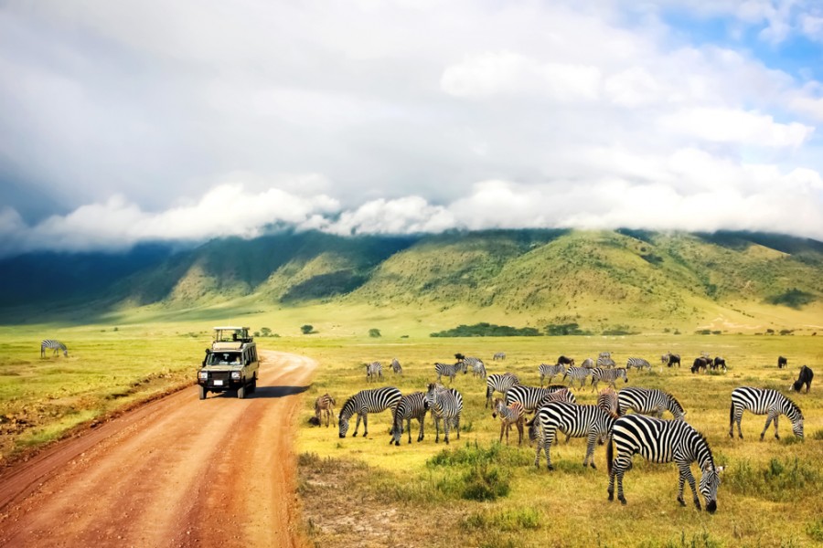 Comment organiser un safari en Tanzanie ?