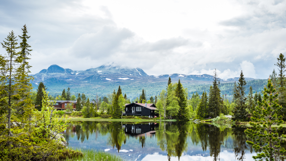 Voyage en Scandinavie découvrir ses remarquables fôrets