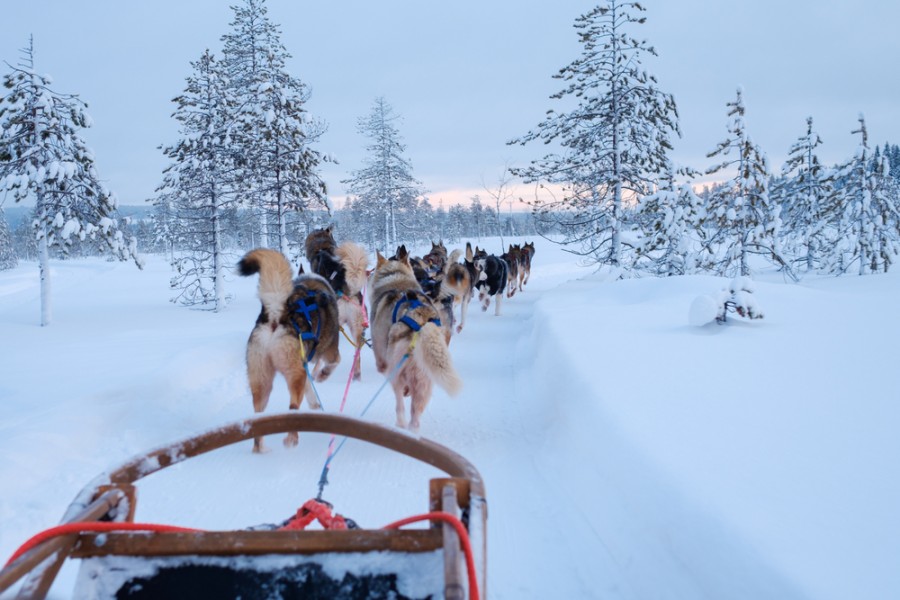 Voyage Laponie : est-ce une bonne destination ?